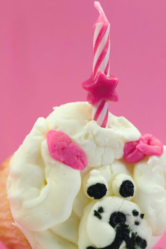 Dog Cupcake